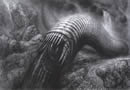 H.R. Giger Dune XII.